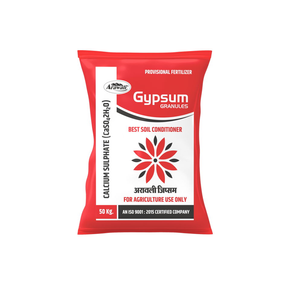 GYPSUM
