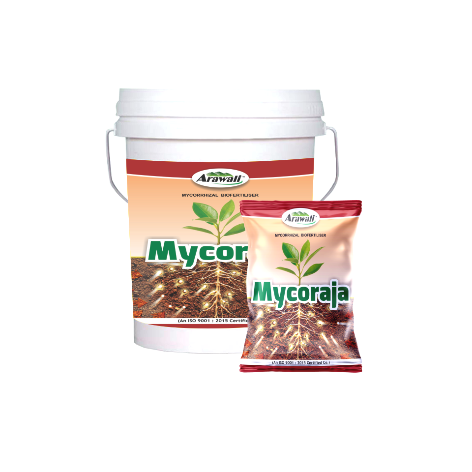MYCORAJA