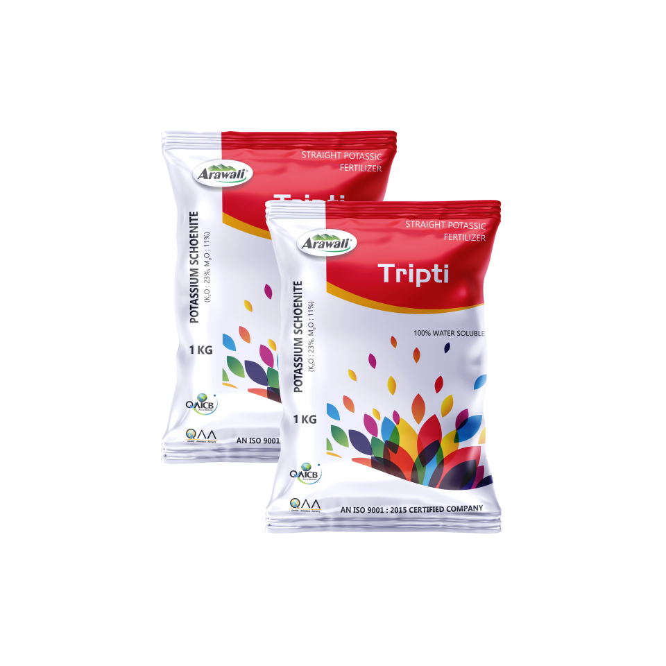 TRIPTI