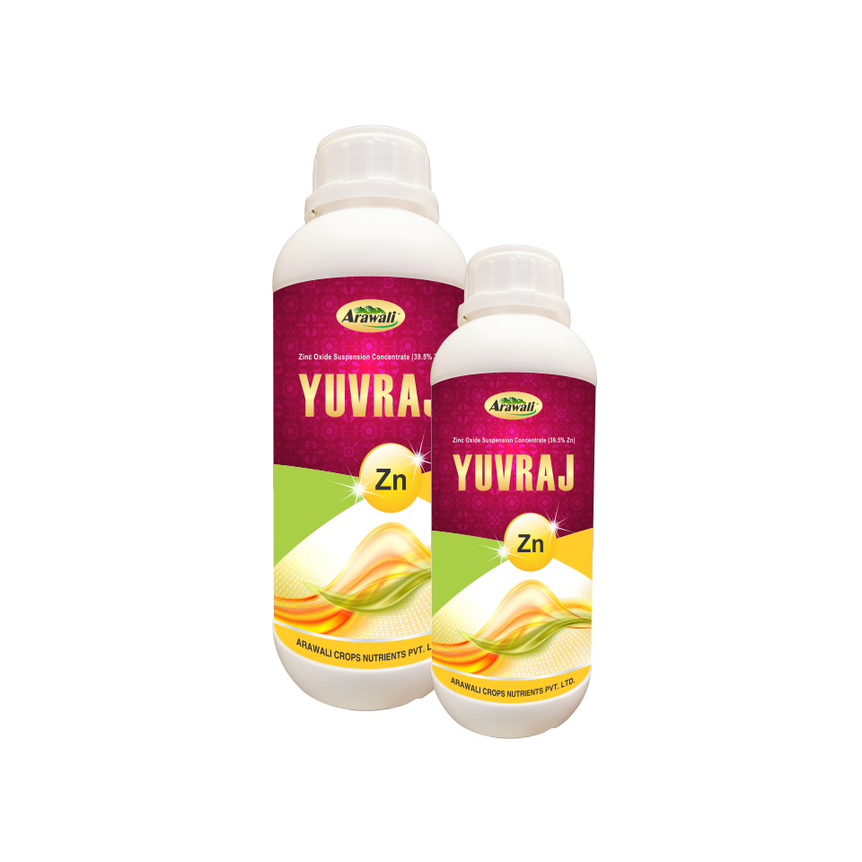 YUVRAJ